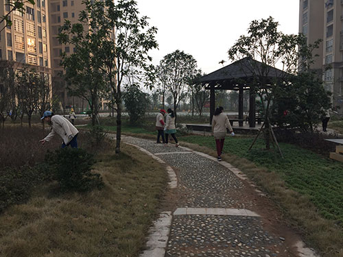 大扫除-(5)